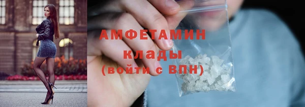 шишки Пестово